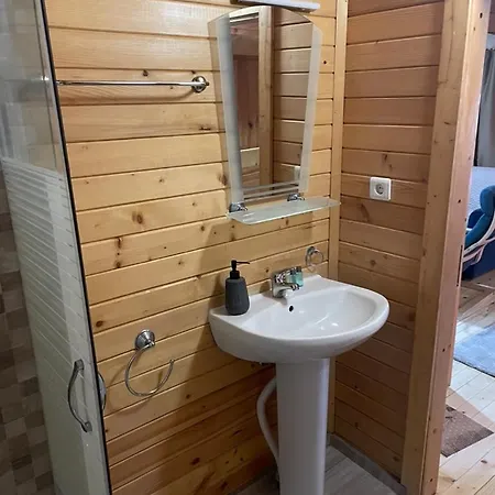 Dağ evi Sofia Borovets