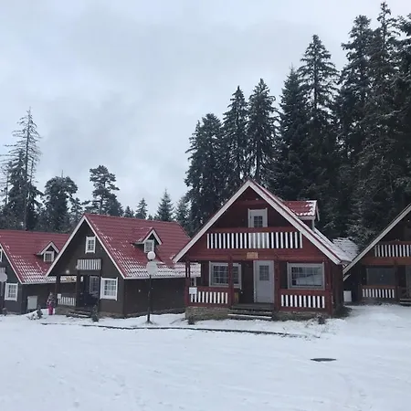Sofia Borovets